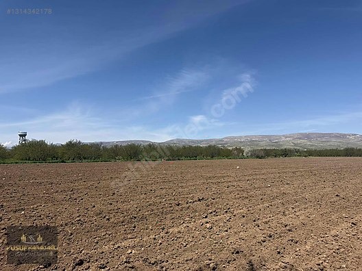 AKÇADAĞ BAHRİ İKİ AYRI TAPULU SATILIK SULU TARLA - MALATYA AKÇADAĞ fotoğraf 6