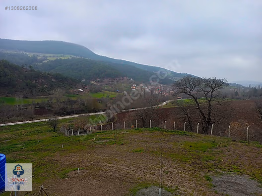 YATIRIMLIK...BİLECİK GÖLPAZARINDA 6780 M2 (ARAÇ TAKASLI) BAHÇE - BİLECİK GÖLPAZARI fotoğraf 13