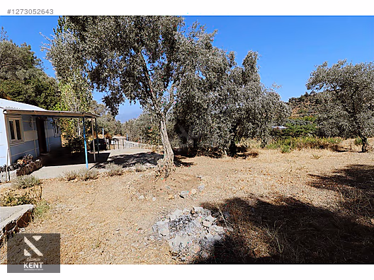 Kemalpaşa Aşağıkızılca Satılık 4536 m2 Bahçe - İZMİR KEMALPAŞA fotoğraf 18