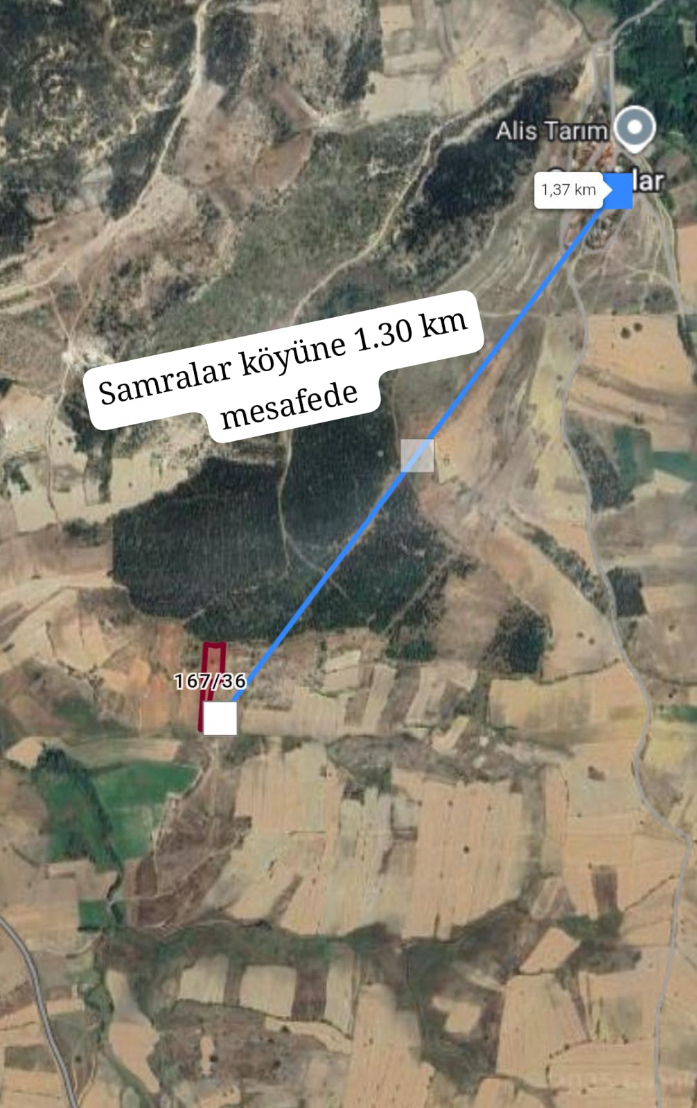  KÜTAHYA GEDİZ YEĞİNLER KÖYÜ 4,913 M² TARLAMIZ SATILIKTIR. - KÜTAHYA GEDİZ fotoğraf 3