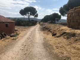 Bergama Fevzipaşa Mahallesinde Satılık 17.000m2 Çiftlik - İZMİR BERGAMA fotoğraf 2