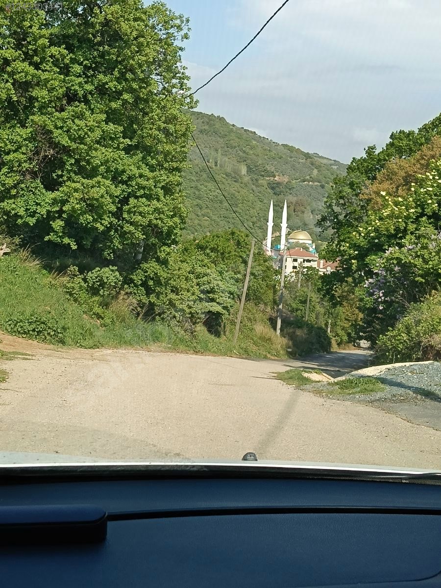 BURSA MUDANYA KAYMAKOBA  KÖYÜNDE 315 M²  ZEYTİNLİK SATILIKTIR - BURSA MUDANYA fotoğraf 8
