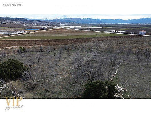 VİP GAYRİMENKUL'den KIŞLA MAH. 4.160m² CEVİZ BAHÇESİ - ANTALYA ELMALI fotoğraf 9