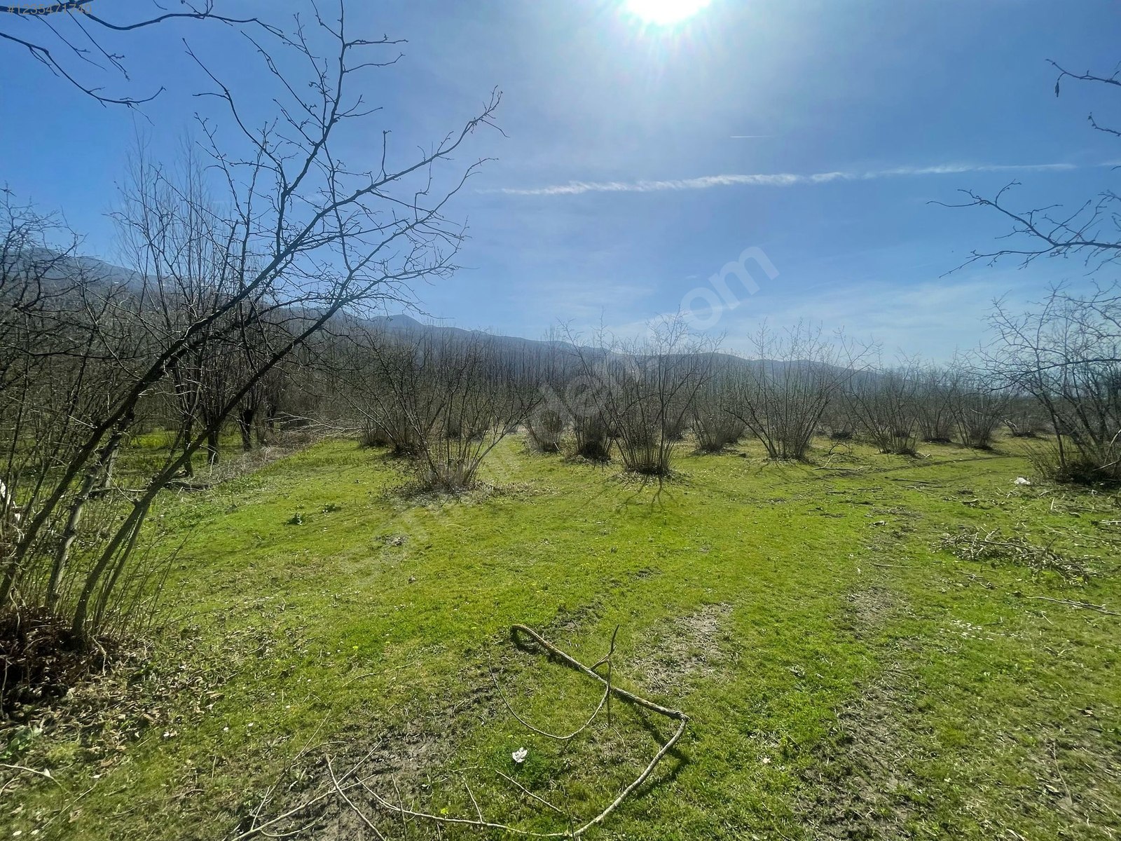 SAKARYA HENDEK ÇAMLICA MAH.( A.ÇARIĞKURU) 11.121 M²  TARLA  SATILIKTIR. - SAKARYA HENDEK fotoğraf 10