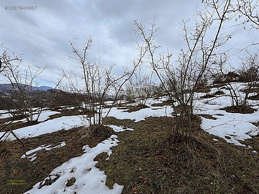 DÜZCE YIĞILCA HACILAR 'DA 2.744 M2 BAĞ EVİ OLAN FINDIK BAHÇESİ - DÜZCE YIĞILCA fotoğraf 6