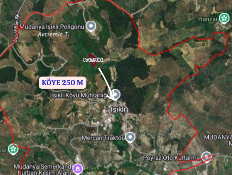 BURSA MUDANYA IŞIKLI  KÖYÜNDE 2.382 M² ZEYTİNLİK SATILIKTIR. - BURSA MUDANYA fotoğraf 5