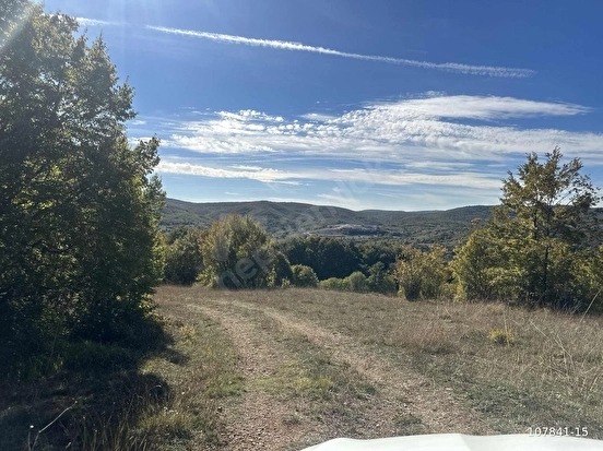 GEÇİTAĞZI KÖYÜNDE ORMAN İÇİNDE KULLANIMA HAZIR AHŞAP EV - KIRKLARELİ MERKEZ fotoğraf 36