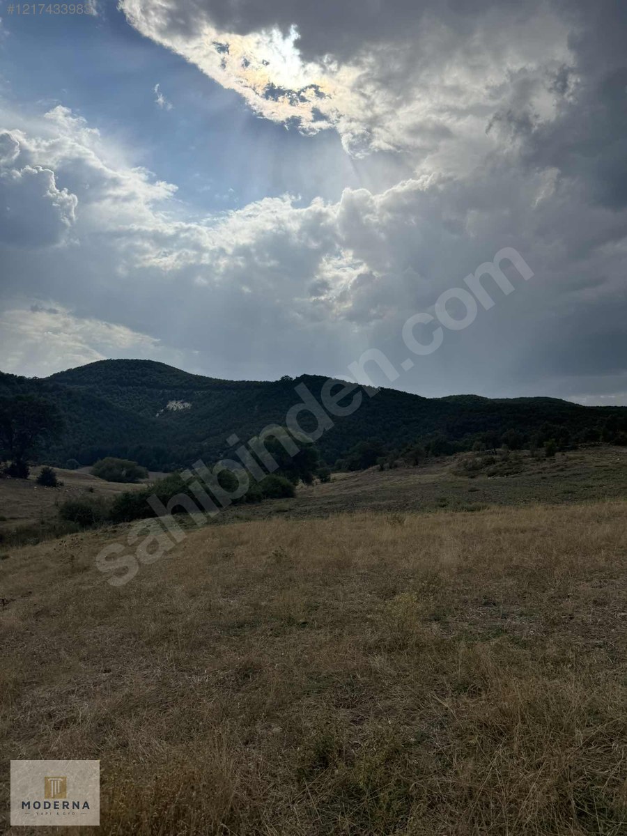ESKİŞEHİR YAPILDAK YAYLASINDA MANZARALI 1.505 M2 TEK TAPU FIRSAT - ESKİŞEHİR SEYİTGAZİ fotoğraf 3