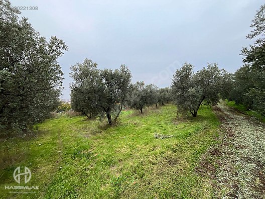 BÖLGE UZMANI HAS EMLAK DENİZ MANZARALI FIRSAT HOBİ BAHÇESİ - BURSA MUDANYA fotoğraf 55