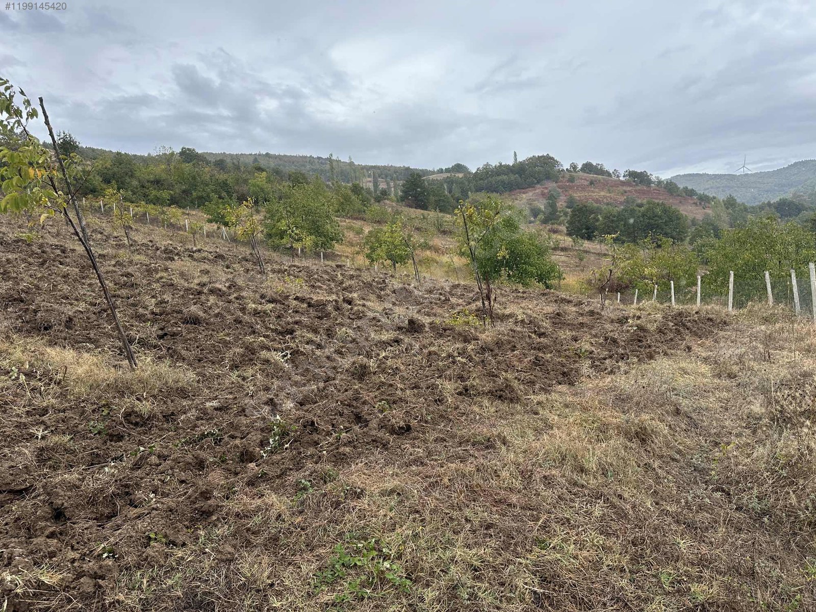 BURSA İZNİK SÜLEYMANİYE'DE  6.000 M² BAHÇEMİZ SATILIKTIR - BURSA İZNİK fotoğraf 3
