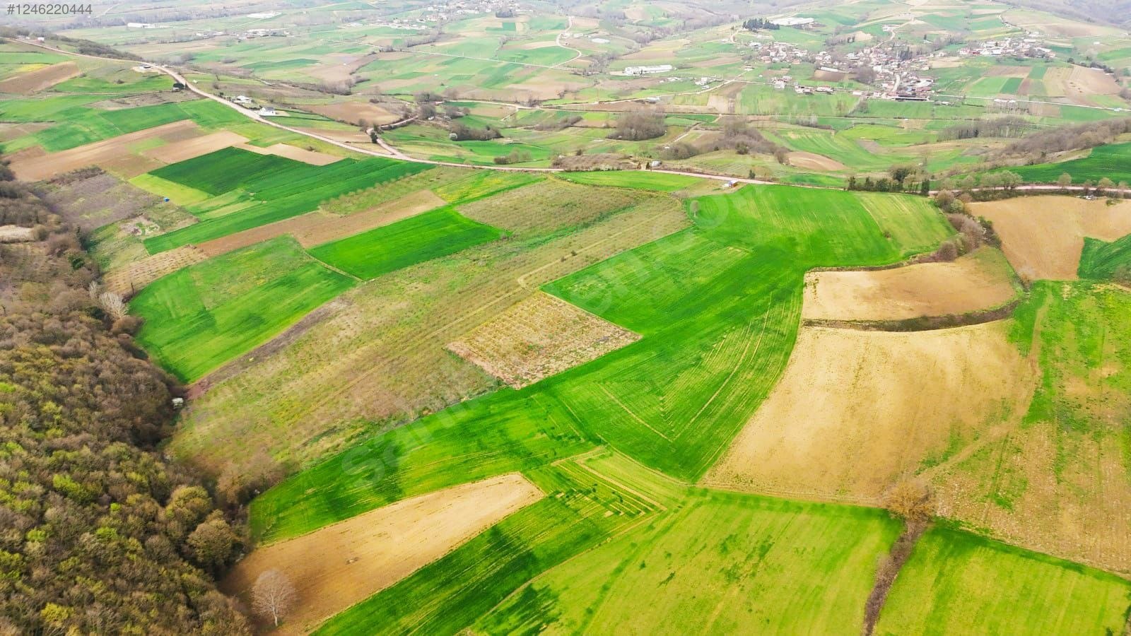 ARAÇ TAKASLI ARSA - KOCAELİ KANDIRA fotoğraf 2