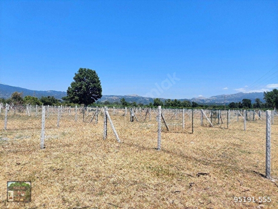 KOZAK YAYLASINDA KARAVELİLER MUHİTLERİ İÇİNDE ANA YOL KENARI 6400 M2 TARLA - İZMİR BERGAMA fotoğraf 2