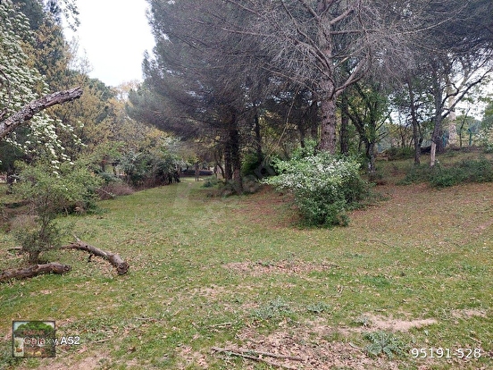 BERGAMA KOZAK YAYLASI YUKARIBEY MAH DE 3140 M2 FISTIKLIK - İZMİR BERGAMA fotoğraf 3