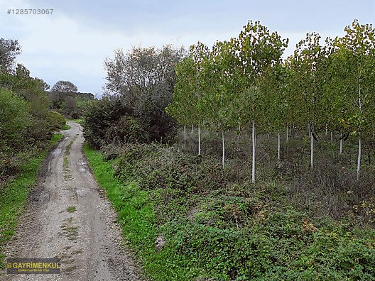YATIRIM FIRSATI! ERENLER/ŞEYHKÖY MAH. 24.620 M² - SAKARYA ERENLER fotoğraf 44