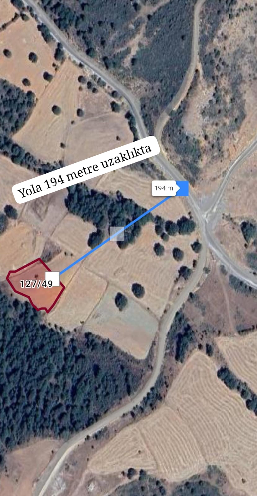 UŞAK MERKEZ AKKAYA MAH (PAÇACILAR KÖYÜ) 2.569M² TARLAMIZ SATILIK - UŞAK MERKEZ fotoğraf 3