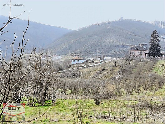 Kocaali Kirazlı'da 4.286m² Fındık Bahçesi ve 780m² İmarlı Arsa - SAKARYA KOCAALİ fotoğraf 27