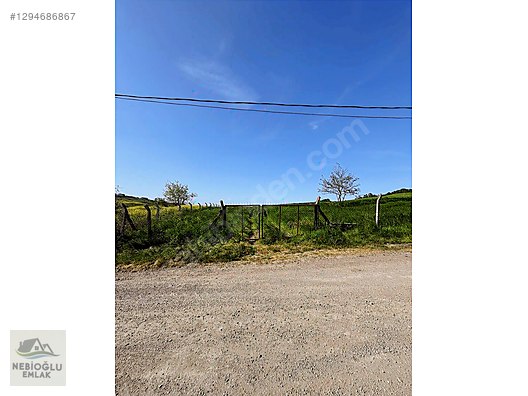 CİFTLİKKÖY 500 EVLER MAH.244 DÖNÜMDEN 12 DÖNÜM HİSSELİ TARLA - YALOVA ÇİFTLİKKÖY fotoğraf 8