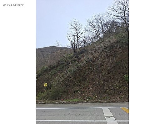 TİREBOLU KUZGUN KÖYÜNDE ANA YOLA CEPHE FINDIK BAHÇESİ - GİRESUN TİREBOLU fotoğraf 5
