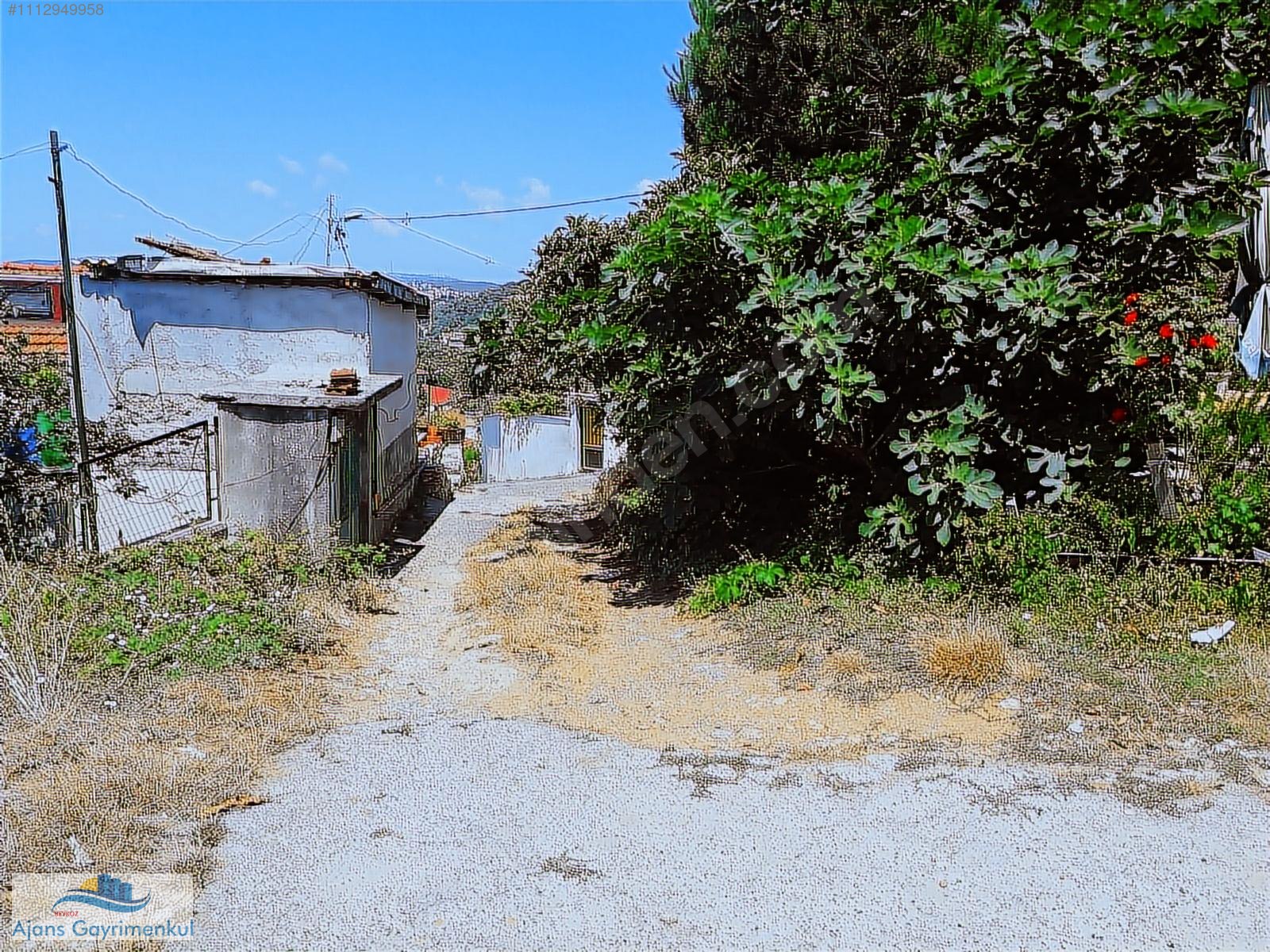 İncirköy de 800 m2 Arsa İçinde İki Adet Tek Katlı Müstakil Ev - İSTANBUL BEYKOZ fotoğraf 3