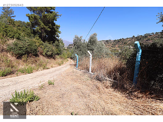 Kemalpaşa Aşağıkızılca Satılık 4536 m2 Bahçe - İZMİR KEMALPAŞA fotoğraf 41