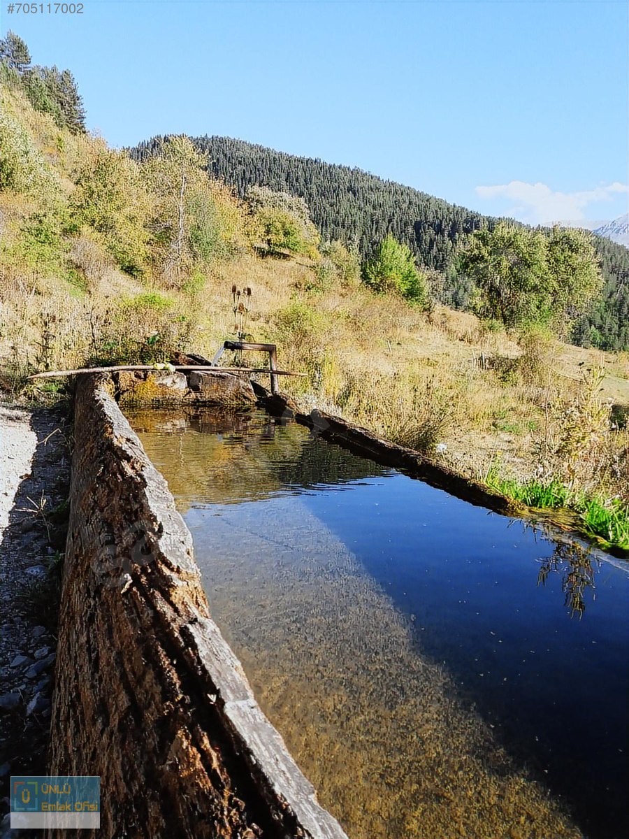 ÜNLÜ EMLAKTAN ILGAZ MANZARALI ORMAN İÇİNDE 50 DÖNÜM CAZİP ARAZİ - KASTAMONU MERKEZ fotoğraf 21