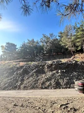 İzmir Torbalı Düverlik Köyünde 960m2 2.5 Kat İmarlı Arsa Satılık - İZMİR TORBALI fotoğraf 2