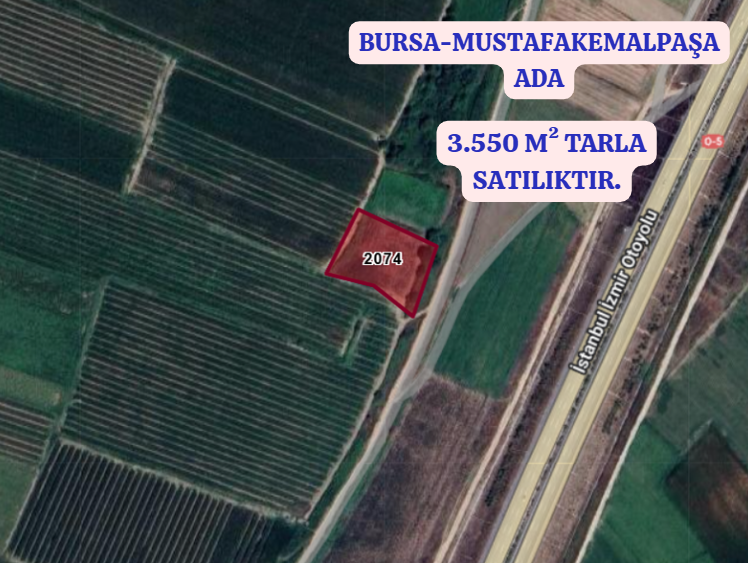 BURSA MUSTAFAKEMALPAŞA ADAKÖY MAH.DE 3.550 M²  TARLA SATILIKTIR - BURSA MUSTAFAKEMALPAŞA fotoğraf 2