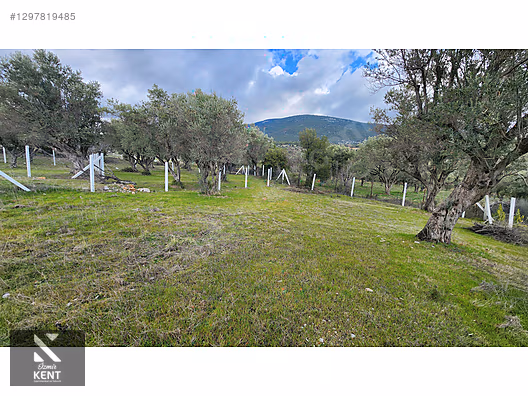 Kemalpaşa Sütçüler Satılık 331 m2 Bahçe - İZMİR KEMALPAŞA fotoğraf 42