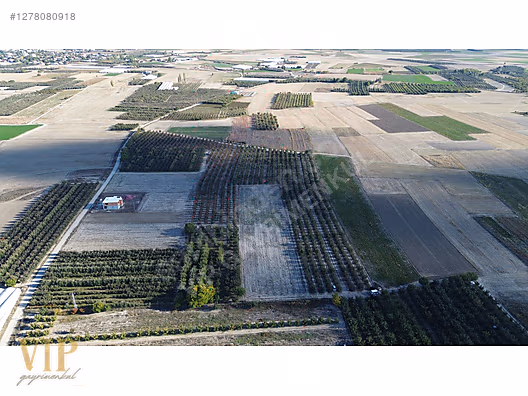 VİP GAYRİMENKUL'den BAYRALAR MAH. 29.648 m² ELMA-ARMUT BAHÇESİ - ANTALYA ELMALI fotoğraf 13