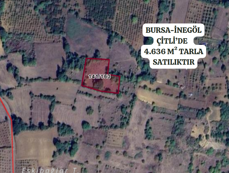 BURSA İNEGÖL ÇİTLİ MH.'DE 4.636  M²  TARLA  SATILIKTIR. - BURSA İNEGÖL fotoğraf 2
