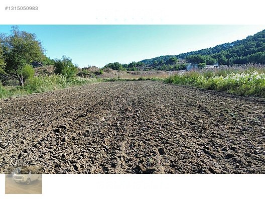 3.199 m² SATILIK SULAK TARLA - ANTALYA AKSU fotoğraf 8