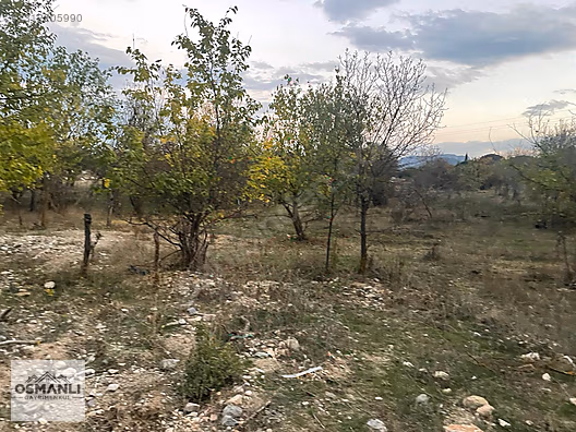 HAMİTABAT KÖYÜ VE SAKARYA NEHRİNE 200 MT MESAFEDE SERA ARAZİSİ - BİLECİK SÖĞÜT fotoğraf 15