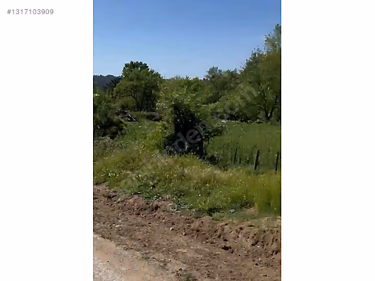 ÇANAKKALE BAYRAMİÇ SERHAT KÖYÜ 526 m2 % 80 İMARLI ARSA - ÇANAKKALE BAYRAMİÇ fotoğraf 10
