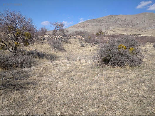   Karaman / Merkez / Kisecik Köyü 1,154M² TARLAMIZ SATILIKTIR.   - KARAMAN MERKEZ fotoğraf 11