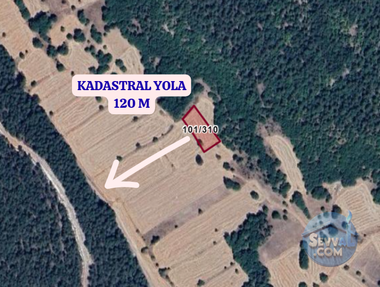 KÜTAHYA ASLANAPA EMREZ VE ABAŞ   KÖYÜNDE  1.248,1.457 VE 934 M² TOPLAM 3 TARLA   - KÜTAHYA ASLANAPA fotoğraf 3