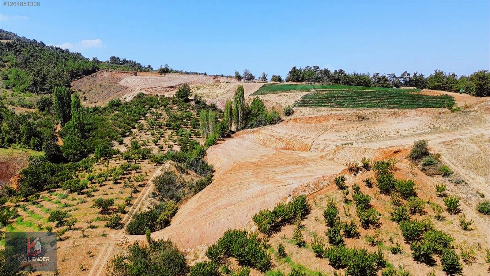 KALENDER EMLAKTAN DAĞYENİKÖY'DE 3.850 M2 TARLA - MANİSA TURGUTLU fotoğraf 3