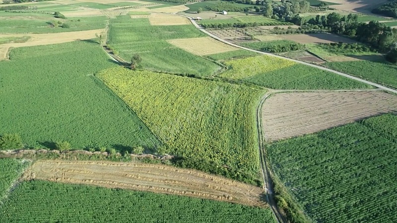 BURSA KARACABEY ÇAMLICA'DA  1.575 M²  TARLA  SATILIKTIR. - BURSA KARACABEY fotoğraf 5