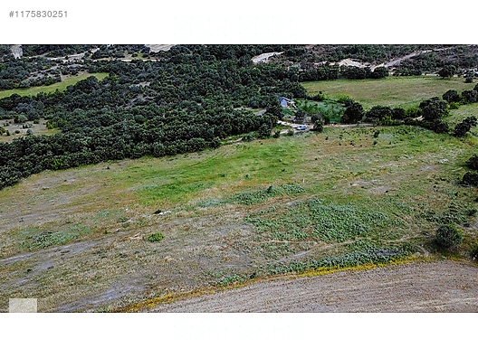 ÇANAKKALE BAYRAMİÇ MURATLAR KÖYÜ 45.000 m2 TARLA - ÇANAKKALE BAYRAMİÇ fotoğraf 16