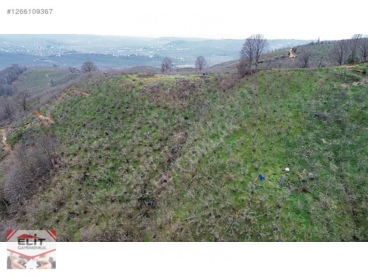 DÜZCE AKÇAKOCA DA EV YAPIMINA UYGUN SATILIK 7.768 M2 FINDIKLIK - DÜZCE AKÇAKOCA fotoğraf 47