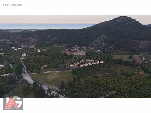 Kemer Kuzderede Yatırımlık & Verimli 15 Dönüm Narenciye Bahçesi - ANTALYA KEMER fotoğraf 17