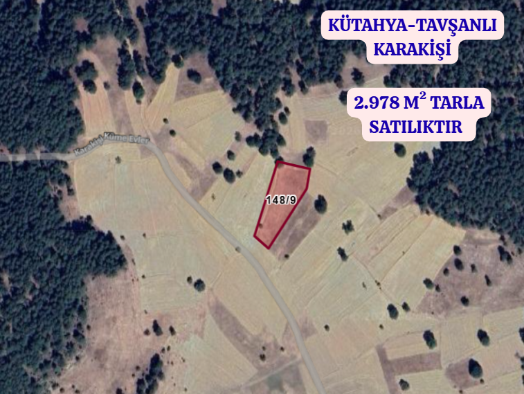 KÜTAHYA TAVŞANLI KARAKİŞİ  KÖYÜNDE  2.978  M²  TARLA  SATILIKTIR - KÜTAHYA TAVŞANLI fotoğraf 2