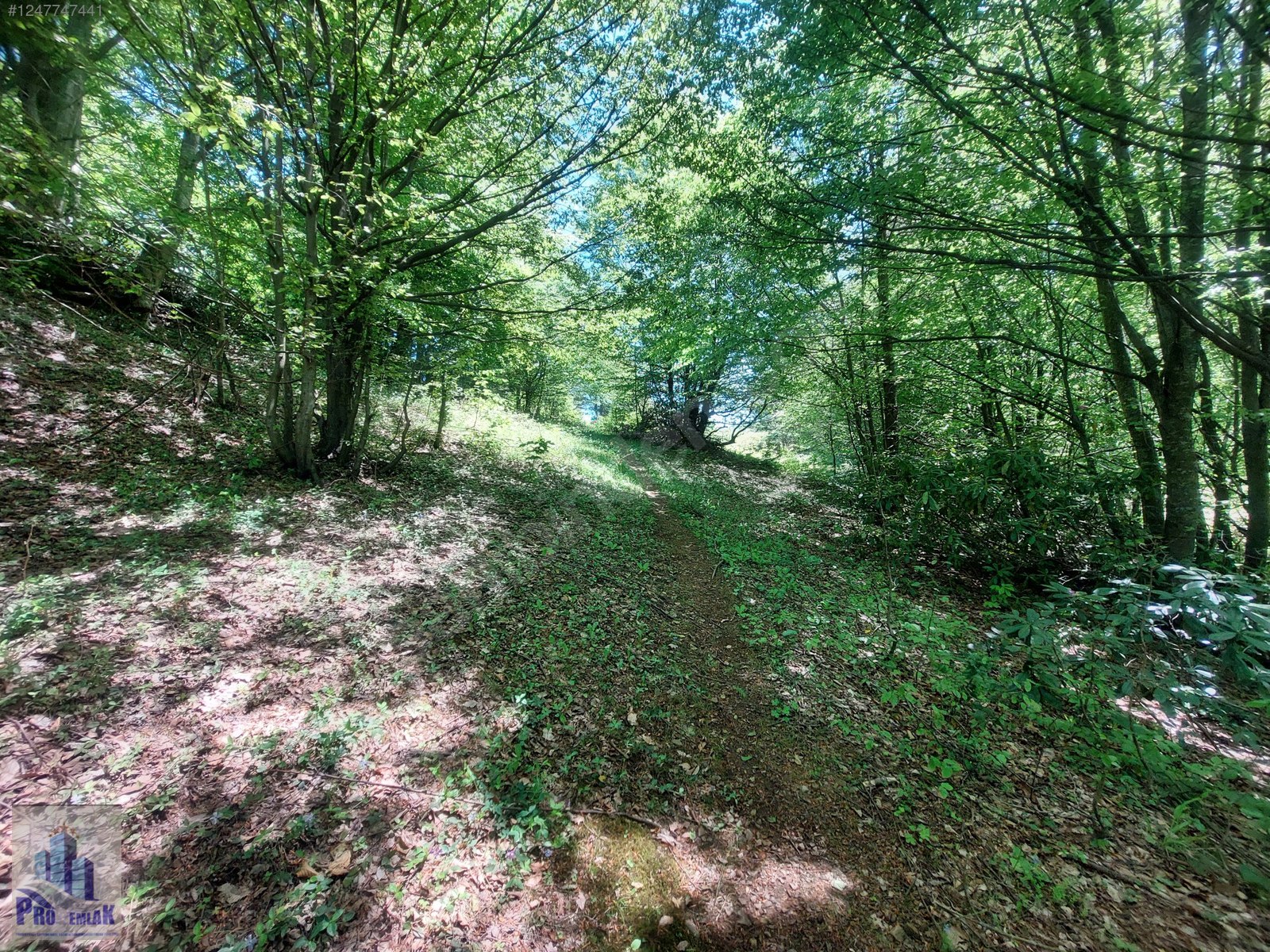 DÜZCE KAYNAŞLI YEŞİLTEPE K. TAMAMI İMARLI 17.923 M2 FIRSAT ARSA - DÜZCE KAYNAŞLI fotoğraf 11
