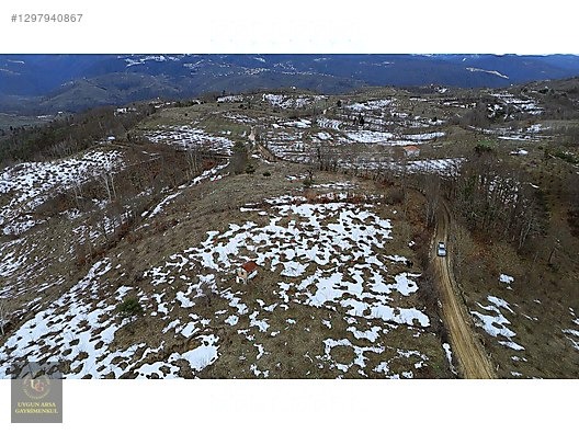 DÜZCE YIĞILCA HACILAR 'DA 2.744 M2 BAĞ EVİ OLAN FINDIK BAHÇESİ - DÜZCE YIĞILCA fotoğraf 21