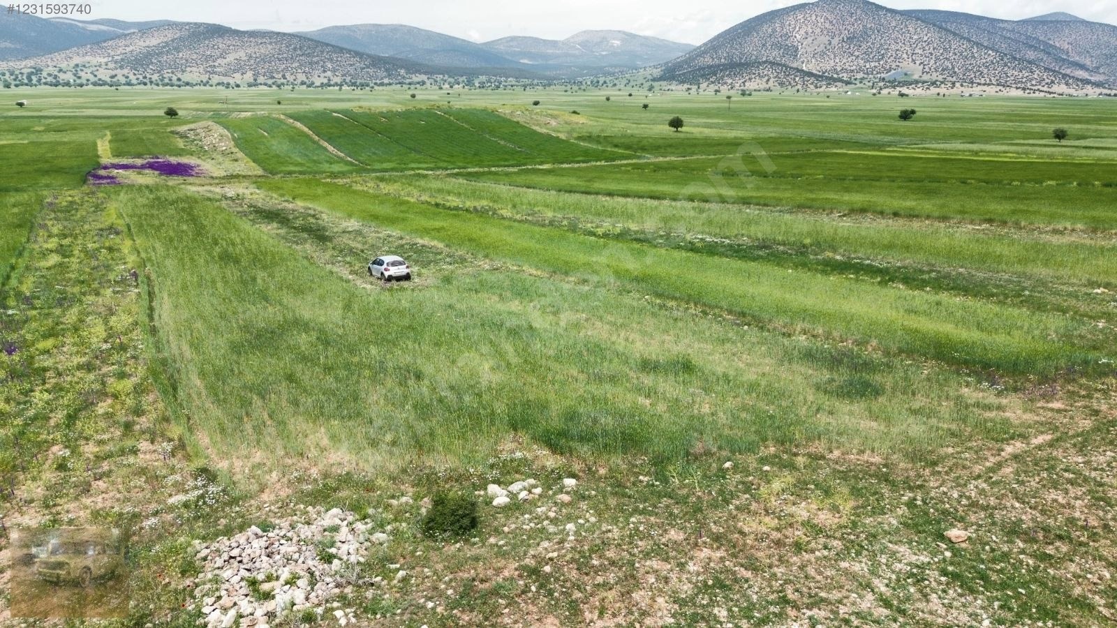 acil satilik!Yazıra datköye komşu imecikte;669m tek tapu yerimiz - ANTALYA KORKUTELİ fotoğraf 8