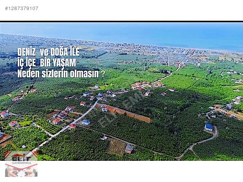 YAŞAR SERBEST'ten SATILIK İMARLI UYGUN MUSTAKİL ARSALAR 625M2 - SAKARYA KOCAALİ fotoğraf 3