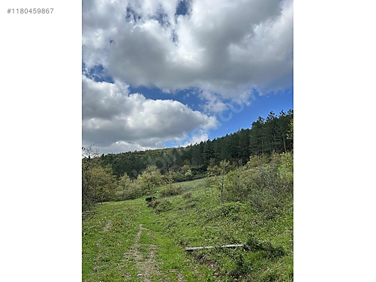 BURSA İZNİK GÜRMÜZLÜ  KÖYÜNDE 3.300 M² TARLA SATILIKTIR - BURSA İZNİK fotoğraf 8