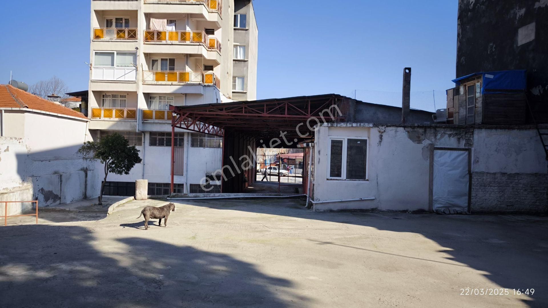 Bergama Merkezde Satılık 590m2 İşyeri - İZMİR BERGAMA fotoğraf 9