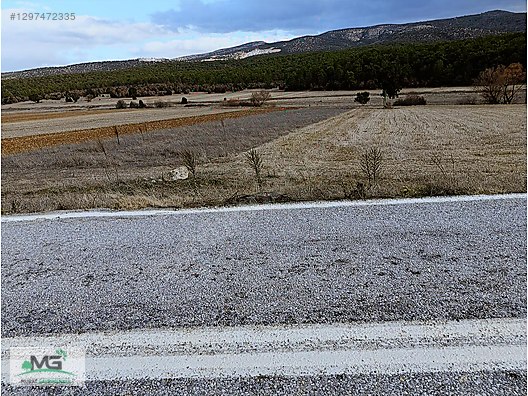 KÜTAHYA ALTINTAŞ PINARCIK KÖYÜNDE FIRSAT ARAZİ - KÜTAHYA ALTINTAŞ fotoğraf 2