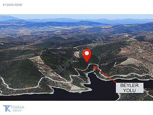 SEFERİHİSAR BEYLER YOLU ÜZERİNDE 5.500 M2 ZEYTİNLİK - İZMİR SEFERİHİSAR fotoğraf 3