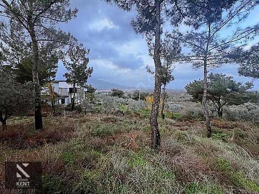 Kemalpaşa Armutlu Hürriyet Mah. Satılık 1.950 m2 Bahçe - İZMİR KEMALPAŞA fotoğraf 35